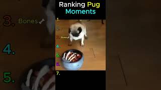 Ranking Pug Moments