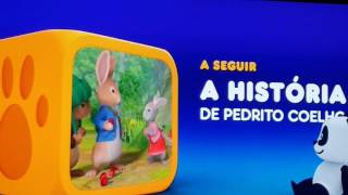 Parabéns C Panda Para Samuel Ferreira