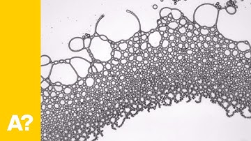 Physicists make square droplets and liquid lattices