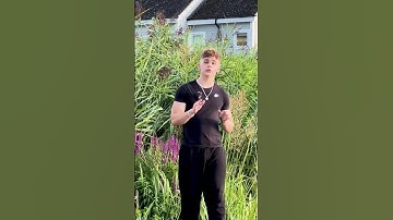 Font weight animation in After Effects is so much easier than you think.