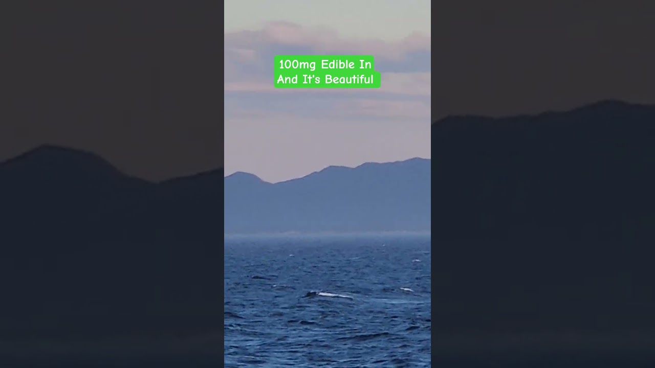 The Alaska/B.C. Coast 