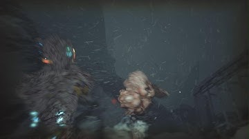 The Callisto Protocol Bug - the Enemy is stoked in air and textures