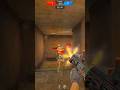 Sdds da aug raiz Point Blank shorts