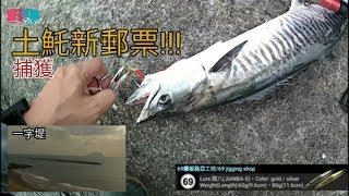 [69jigging] 宜蘭一字堤岸拋初體驗vs土魠,馬加鰆,竹梭魚空拍烏 ... 