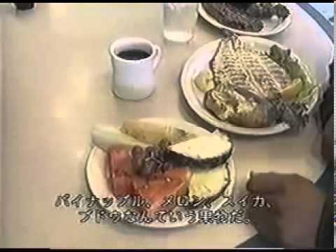 Shawn Ray's Diet video phone beyonce mp3