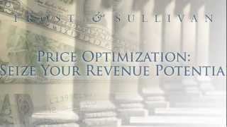 Price Optimization: Seize Your Revenue Potential
