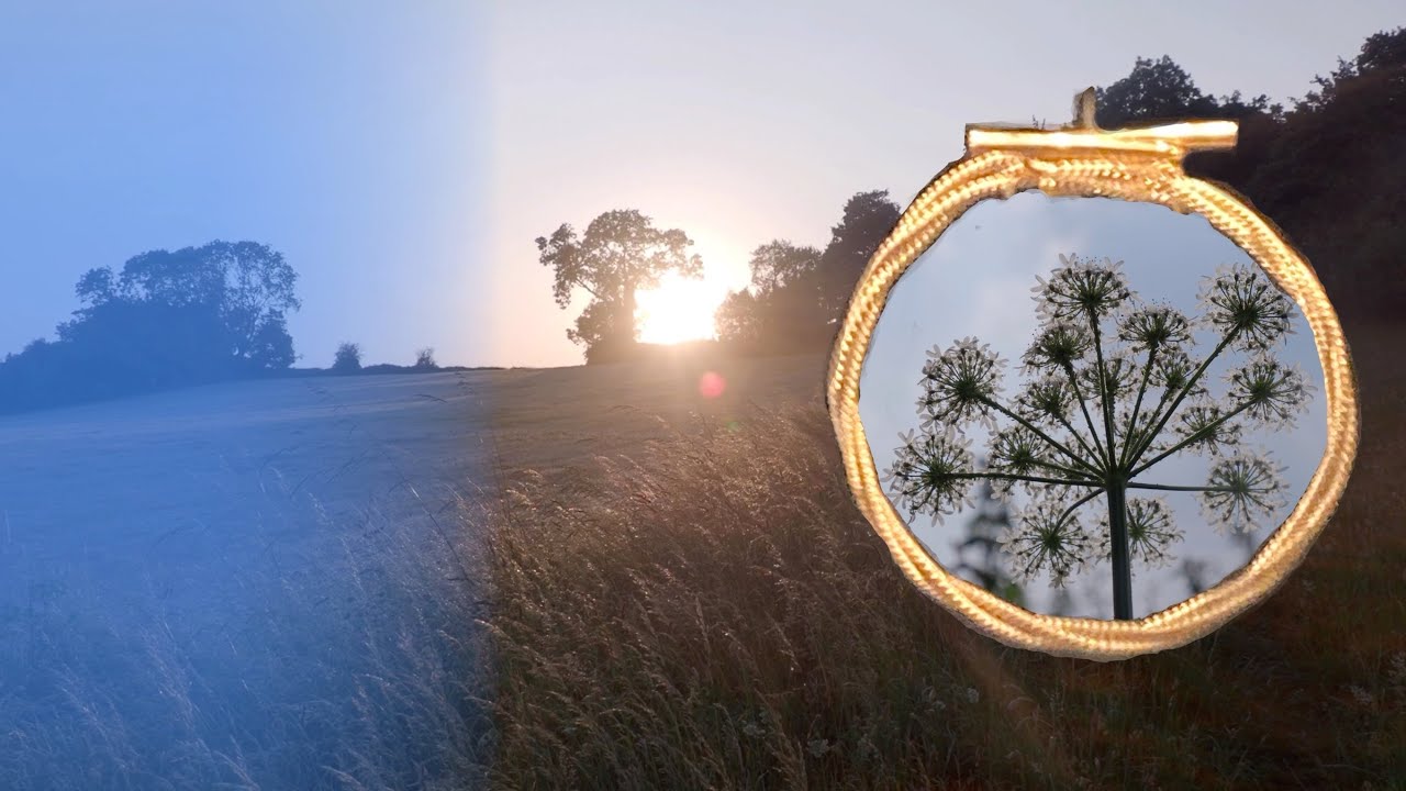 Ancient Landmarks of Buckland Dinham, Somerset; Also Hares, Barrows, and Co-Grooming Horses