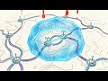 WiFi's SECRET:How 50 Devices Share ONE Channel Without Collision Chaos |How Devices Share the Air 📶