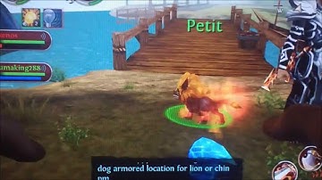 Order & Chaos Online: Secret Pet Island?