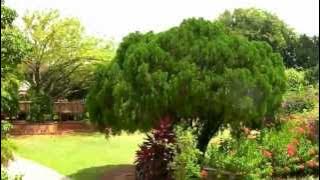 Sultan's Palace.mp4 - Malacca HD