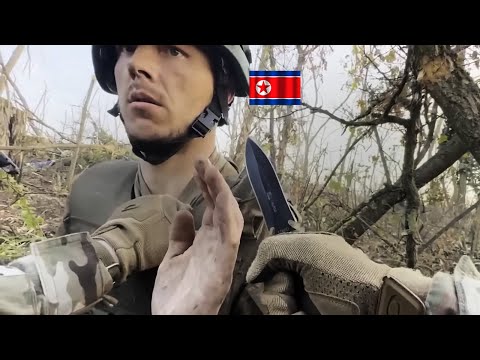 26 Nov. Ukrainian FPV drones Ruthlessly blow up North Korean and russian soldiers