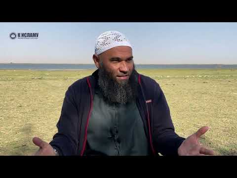 Намерение действует даже на мясо. Четыре вида людей при закалывании | Ринат Абу Мухаммад