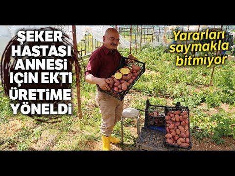 Video: Ekimden önce Patatesleri Filizlendirmeyi Başardınız Mı?