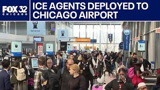 ICE agents deployed to Chicago's O'Hare Airport amid DHS shutdown Net Worth