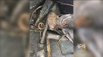 Florida Man Finds Authentic WWII Hand Grenade, Drives To Taco Bell