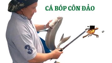 Câu Cá Bóp l Cá Róc Côn Đảo l Cobia Fishing l Rock Fishing In Con Dao Viet Nam l Đường Về Vlog