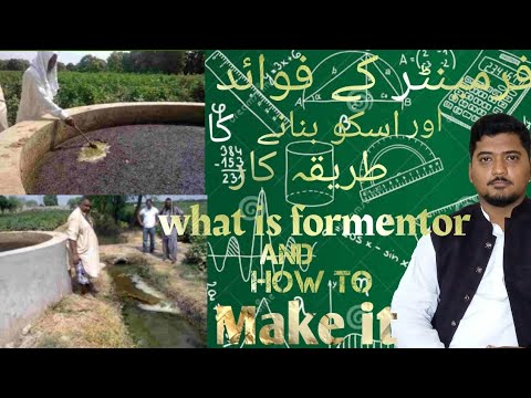 what is the Farmenter? (فرمینٹر اور اس کے فوائد)