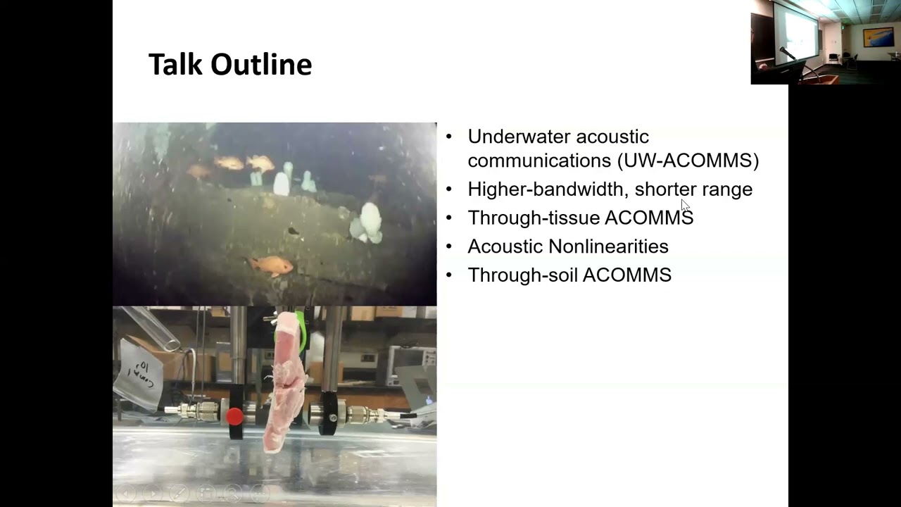 SoMAS - Acoustic Signal Processing and Communication Systems Through the Ocean, Soil, and Tissue