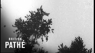 Red Devils Of Arnhem 1944