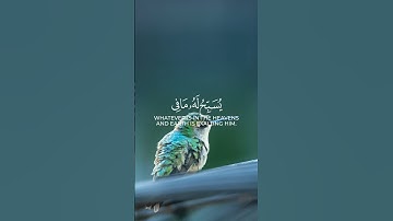 #اكسبلور ❤ |سورة الحشر| #ياسر_الدوسري 🤍 #راحة_نفسية 😇