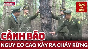 Hải Dương: Cảnh báo cháy rừng cấp nguy hiểm | Đảng với Dân