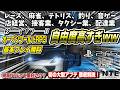 【基本プレイ無料】どんなゲームか徹底解説！ めっちゃ進化してる！ オープンワールド型アクションRPG 初の大型アプデ開始！PS5 PC スマホ NTE:Neverness to Everness