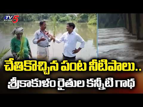 Farmers In Tears as Nagavali Floods Destroy Ready-to-Harvest Crops | TV5 News - TV5NEWS