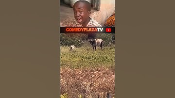 time of Youtube algorithm and me #funny #comedy #shorts