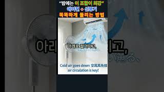 “밤에는 이 조합이 최강” — 에어컨 + 선풍기 똑똑하게 돌리는 방법