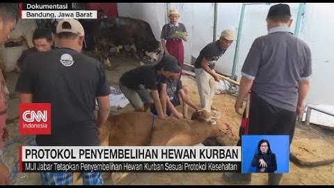 Protokol Penyembelihan Hewan Kurban