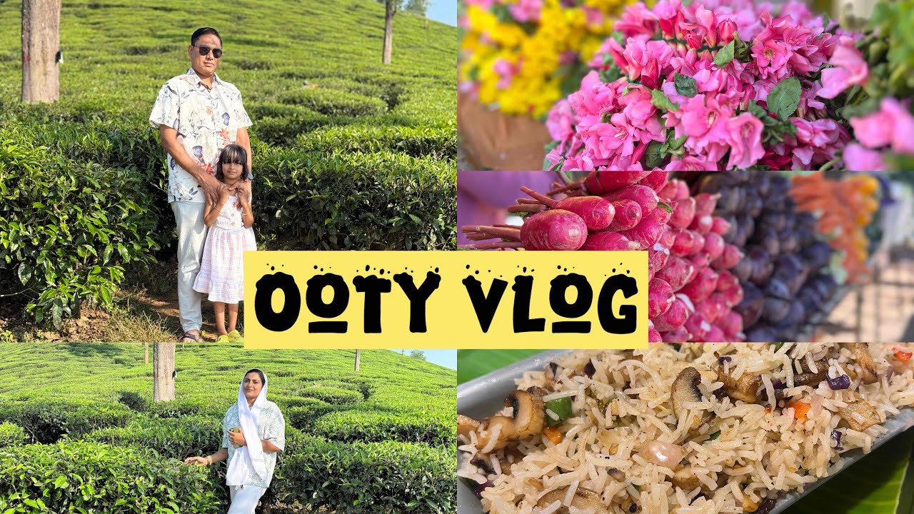 ഇനി നാട്ടിൽ നിന്നാൽ ശരിയാവില്ല.നാട് വിടുന്നു ഗൈസ്😌😭#trending#travelvlog#travel#ooty#december#family 