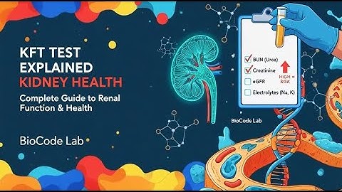 Kidney Function Test (KFT/RFT): Normal Range & Importance | Explained Urea, Creatinine X BioCode Lab