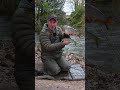 Specimen Series Winter Trotting