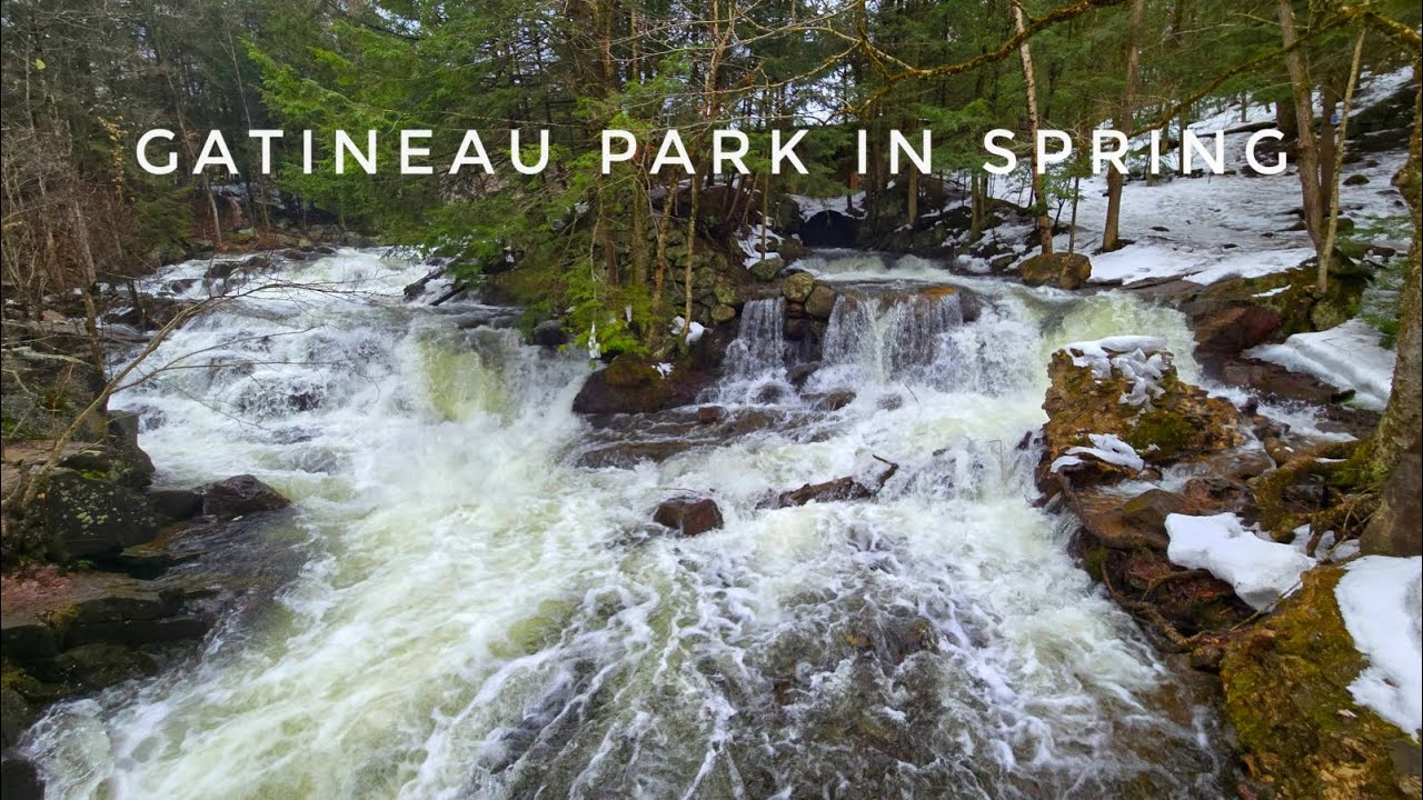 Gatineau Park: Carbide Willson Trail