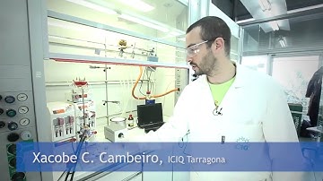 Continuous flow α-aminoxylation monitored by in-situ IR spectroscopy