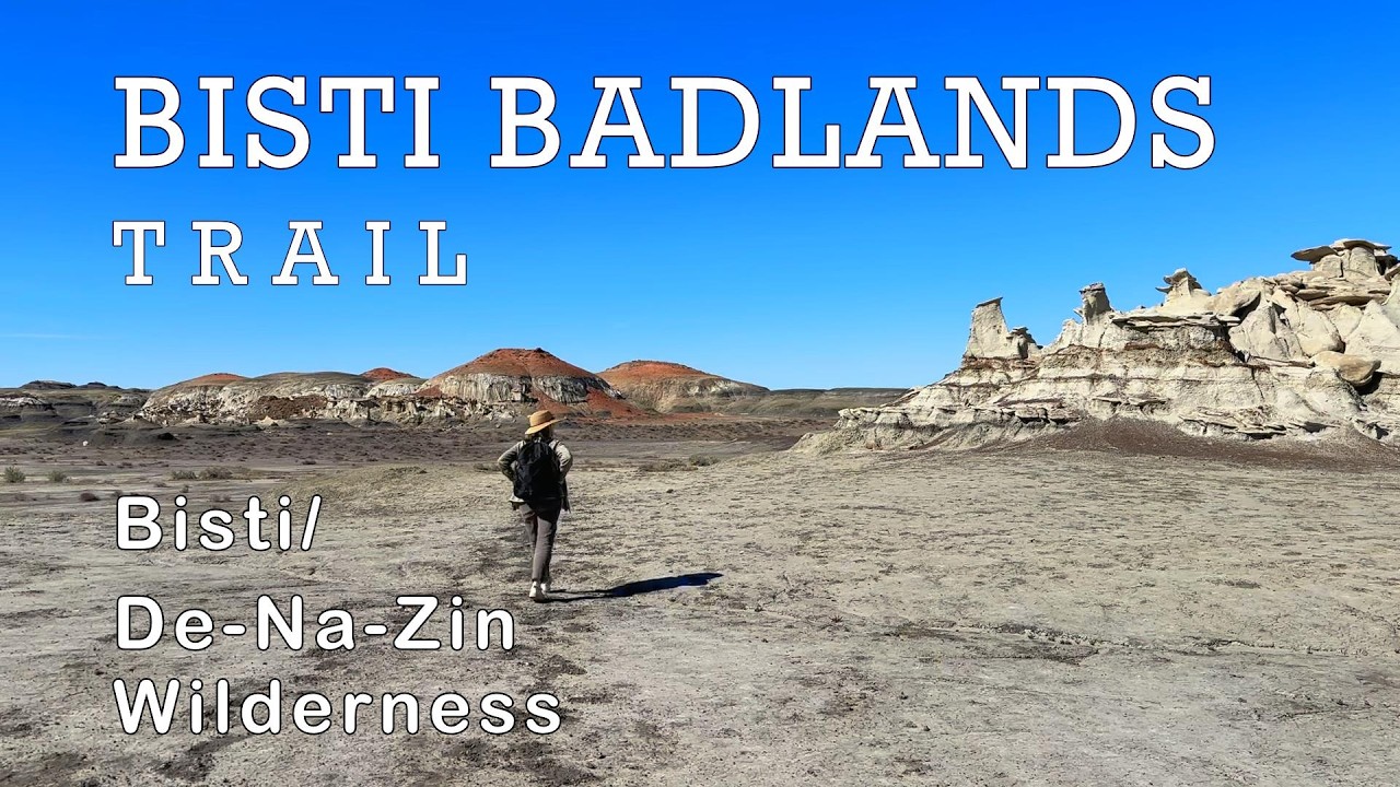 Buzzin' Along the Bisti Badlands: New Mexico's Most Otherworldly