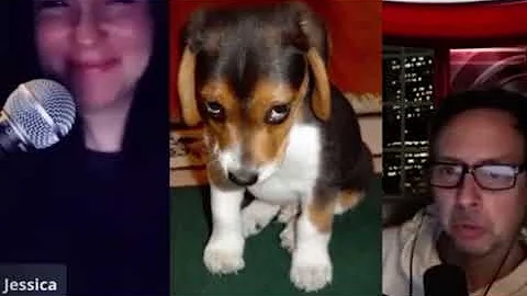 CNL Behind the scenes Dogs didnt get their toys Je...