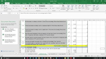 ከExcel ወደ Primavera Activity ማስገባት |How to Import Activities from Excel to Primavera P6