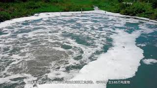 中文版, Introduction to Chip Mong Ecocycle