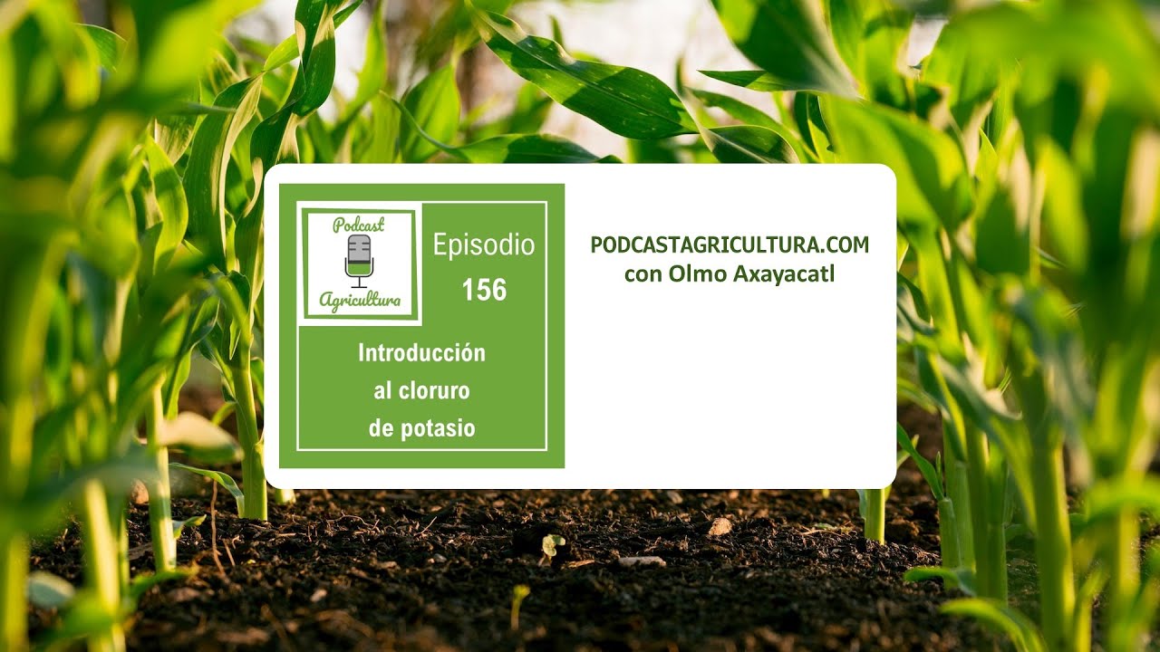 156 Introducción al cloruro de potasio