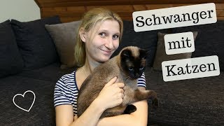 Katze im Babybett?! I Tipps für die Schwangerschaft und das Leben mit Baby + Kind I AllesClärchen