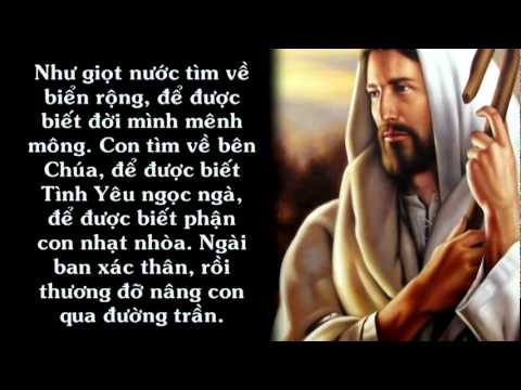 Video Tìm Về - youtube