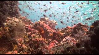 Ein Tribut an das Meer / A tribute to the sea