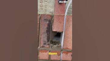 How Masons Align Bricks Perfectly Using Just a String Line#shorts