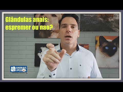 Vídeo: Como limpar o cabelo do cão dos veículos