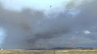 Realflight 2012-01-14 20-04-34-01.avi