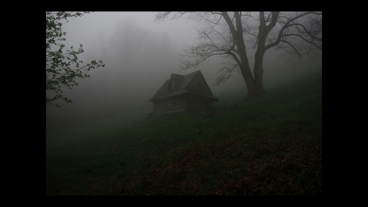 Mr.Kitty Type Beat – 