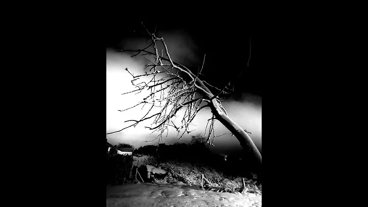 Hurt - Nine Inch Nails + Johnny Cash (acoustic cov...