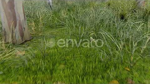 Green Grass In The Park 4K | Motion Graphics - Envato elements