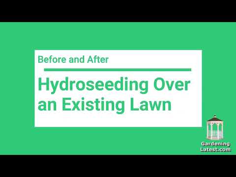 วีดีโอ: วิธี Hydroseeding – ข้อมูลเกี่ยวกับ Hydroseeding A Lawn